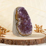 Amethyst Geode - Rich violet