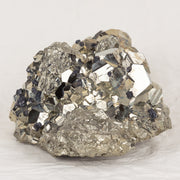 MONEY MAGNET (Pyrite with Galena)