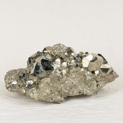 MONEY MAGNET (Pyrite with Galena)