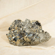 MONEY MAGNET (Pyrite with Galena)