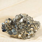 MONEY MAGNET (Pyrite with Galena)