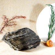 Black Tourmaline With Mica