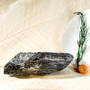 Black Tourmaline With Mica