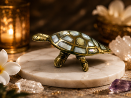 Wish Turtle
